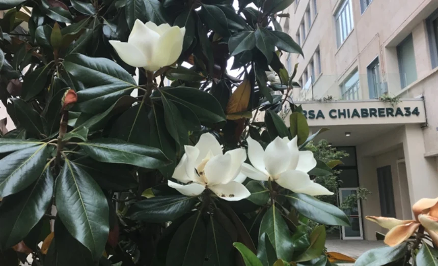 RSA Chiabrera34 a Torino