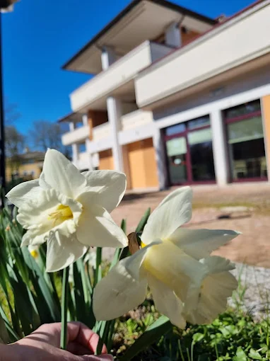 Rsa Villa Sissi Rsa Villa Sissi