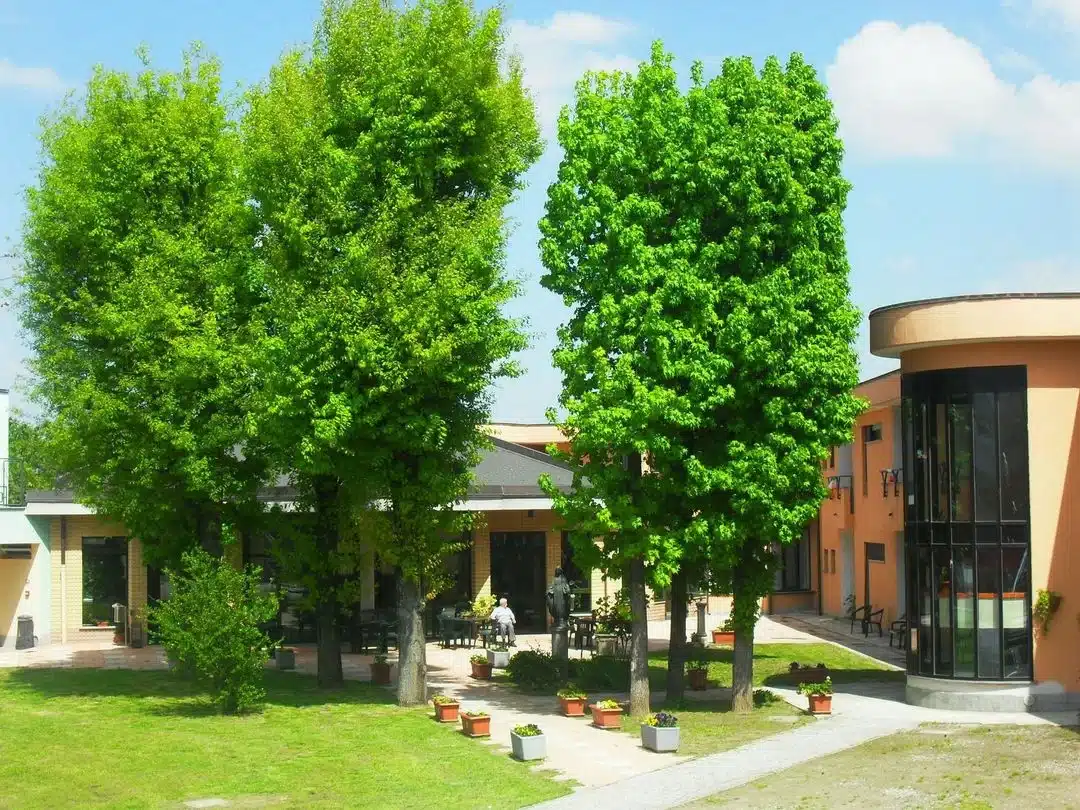 RSA Fondazione Ing. P. Zoncada Onlus a Borghetto Lodigiano