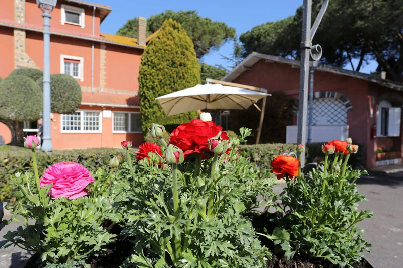 Casa di riposo La Villa Relais a Roma