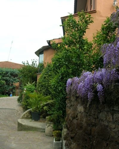 Casa di riposo Villa Tilde a Roma