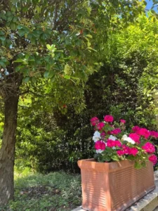 Residenza per anziani Oasi San Francesco a Roma